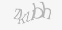 Защитный код